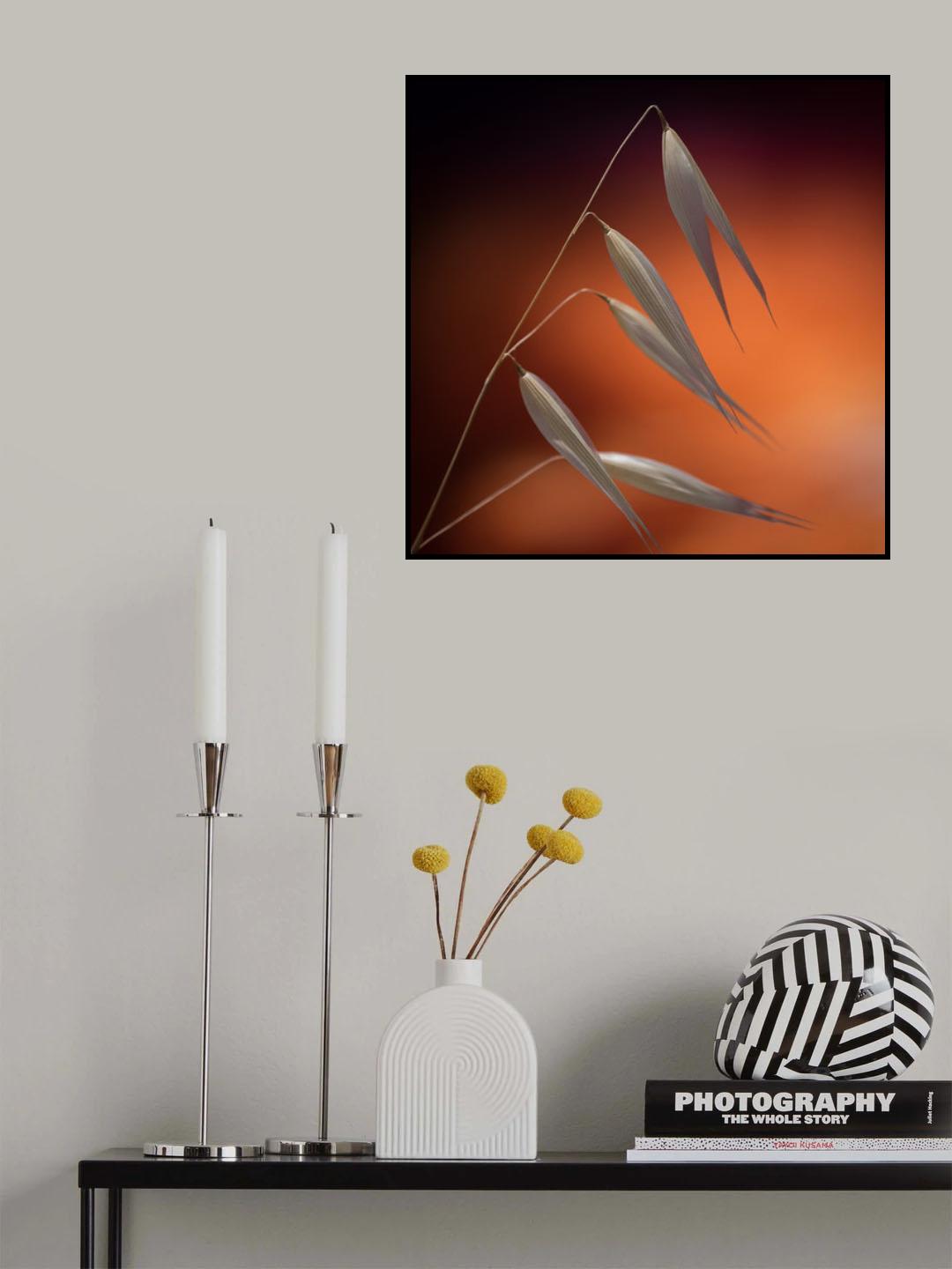weeds in sunset Poster och Canvastavla