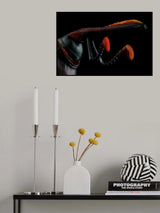 Rhynchoporus Ferrugineus Poster och Canvastavla