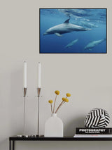 Blueplanet Poster och Canvastavla