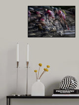 in action Poster och Canvastavla