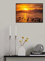 Fishing boats under sunset. Poster och Canvastavla
