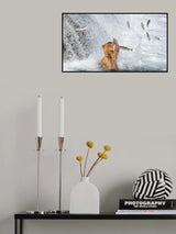 Why not catch it? Poster och Canvastavla