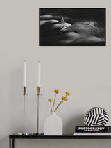 Passing by Poster och Canvastavla