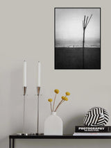 Passing through... Poster och Canvastavla