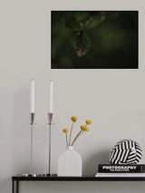 Botanical Series - Leaves 1/5 Poster och Canvastavla