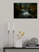 Autumn is coming... Poster och Canvastavla