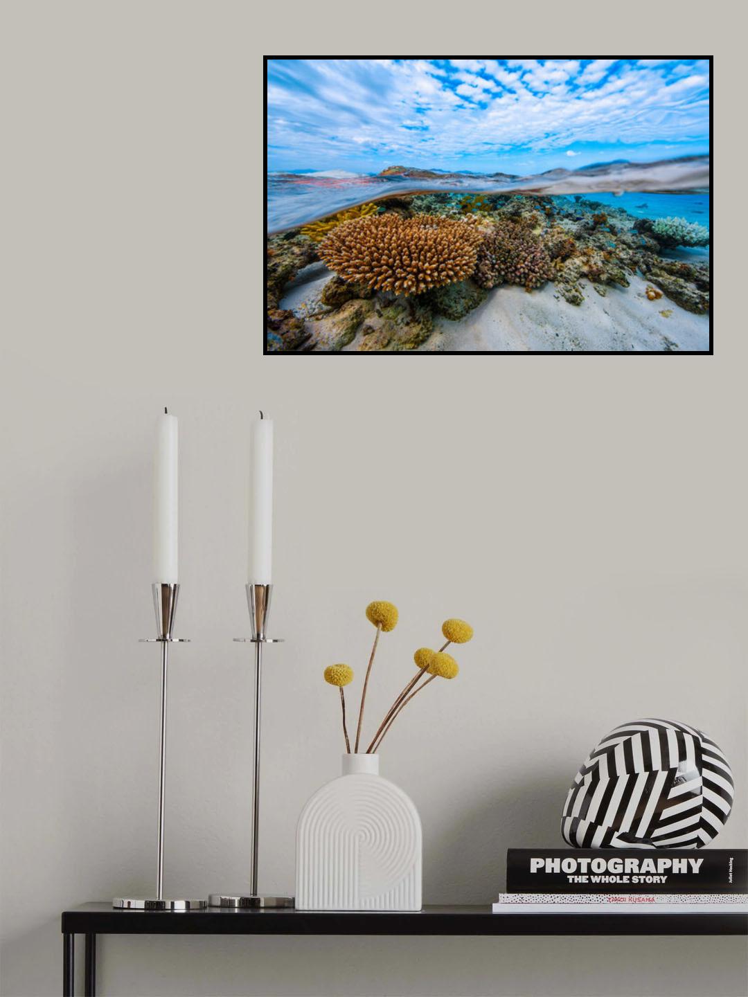 Into the lagoon! Poster och Canvastavla