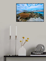 Into the lagoon! Poster och Canvastavla