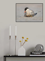 Protection Poster och Canvastavla