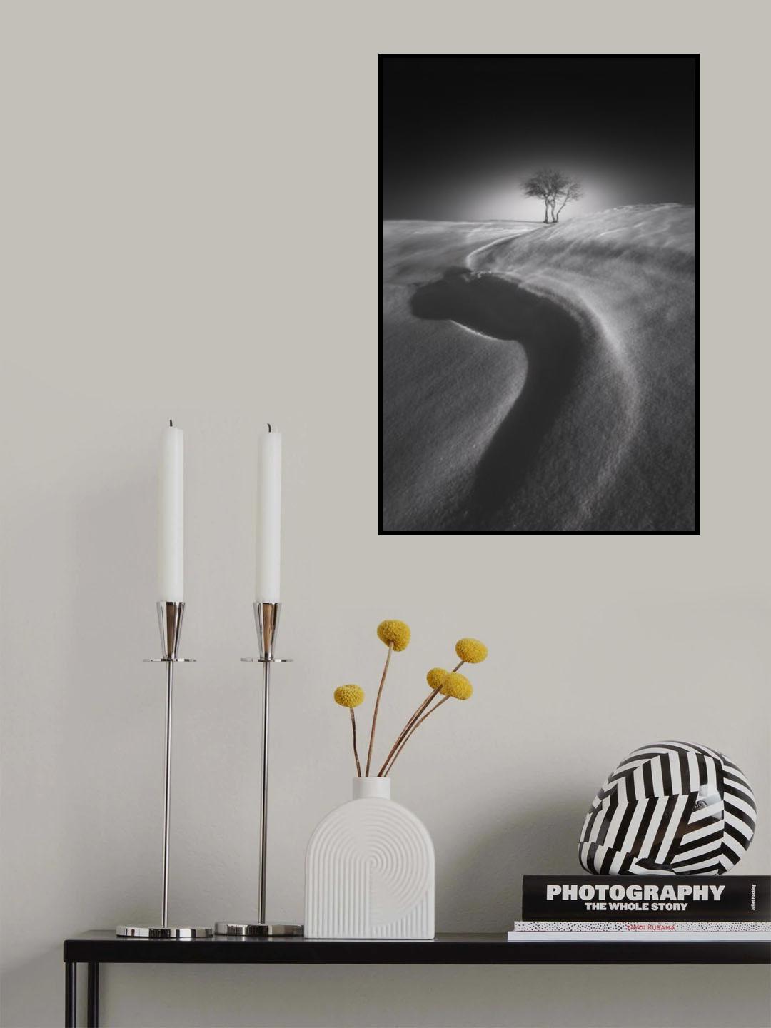 Shadow of the S shape on the snow Poster och Canvastavla