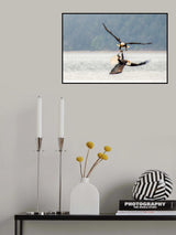 Bald Eagles Poster och Canvastavla