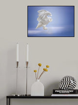 Taking....off Poster och Canvastavla