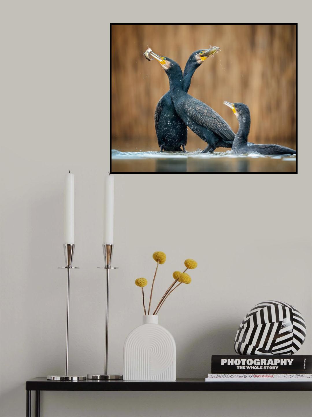 Dont's show off, please just drop one for me! Poster och Canvastavla