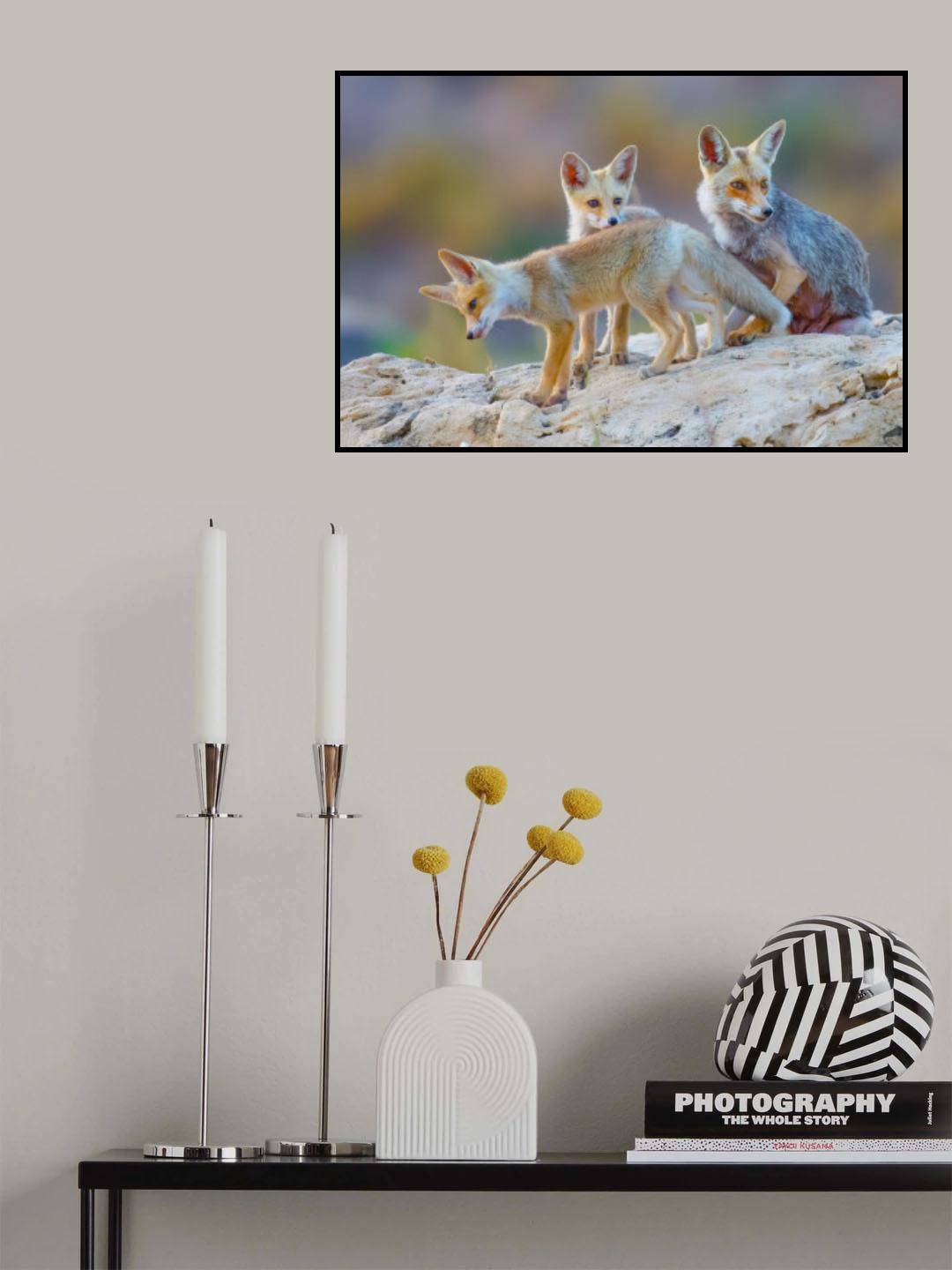 Fox family Poster och Canvastavla