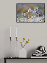 Fox family Poster och Canvastavla