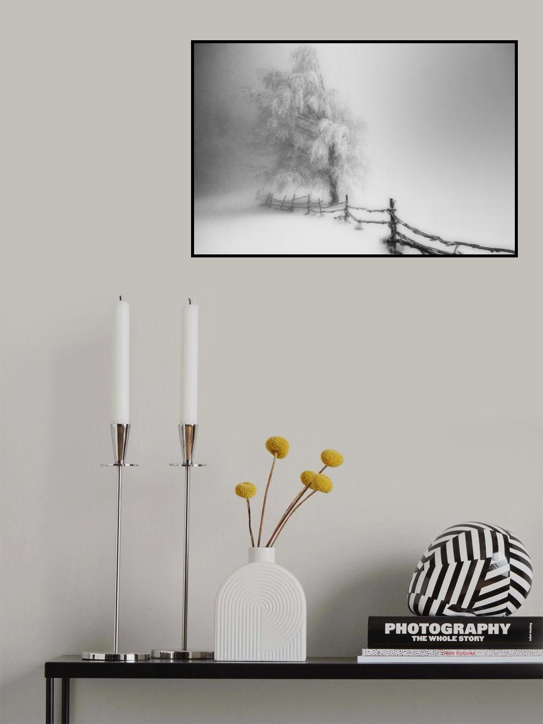 Caught Poster och Canvastavla