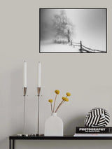 Caught Poster och Canvastavla
