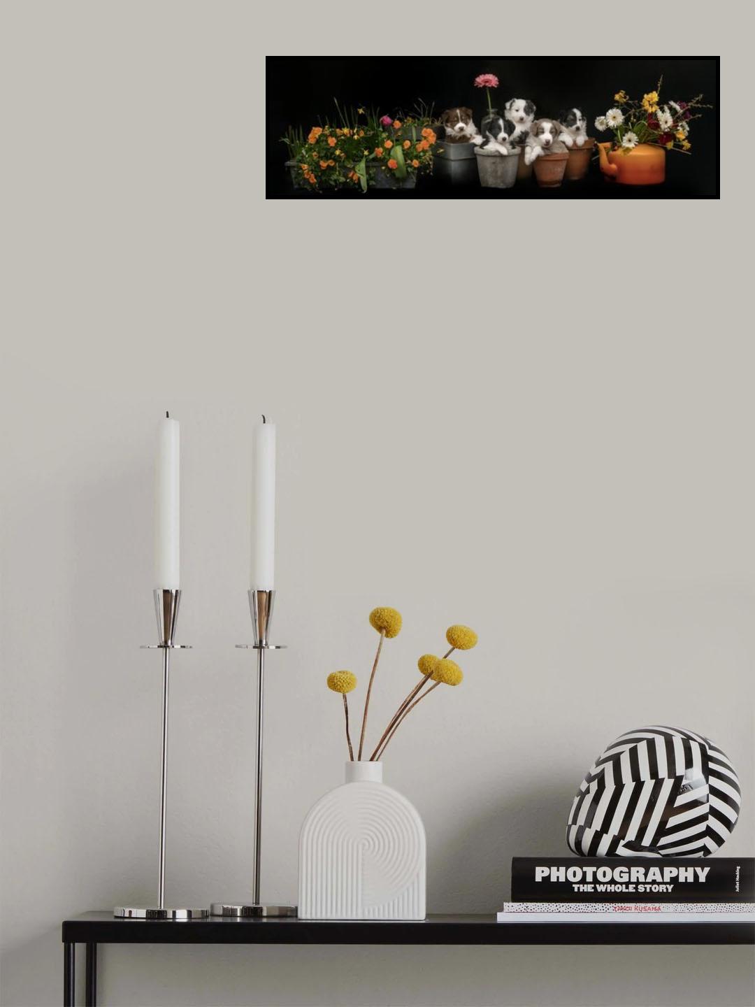 Just add water Poster och Canvastavla