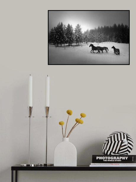 Poster och Canvastavla
