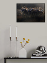 harshly Poster och Canvastavla