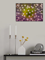 Colours Poster och Canvastavla