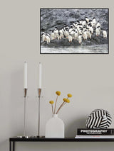 Poster och Canvastavla
