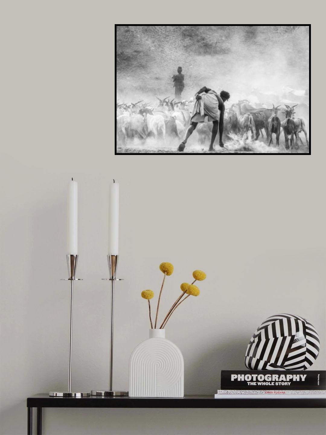Shepherding Poster och Canvastavla