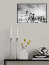 Shepherding Poster och Canvastavla