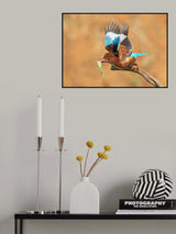 Flight of Grasshopper Poster och Canvastavla
