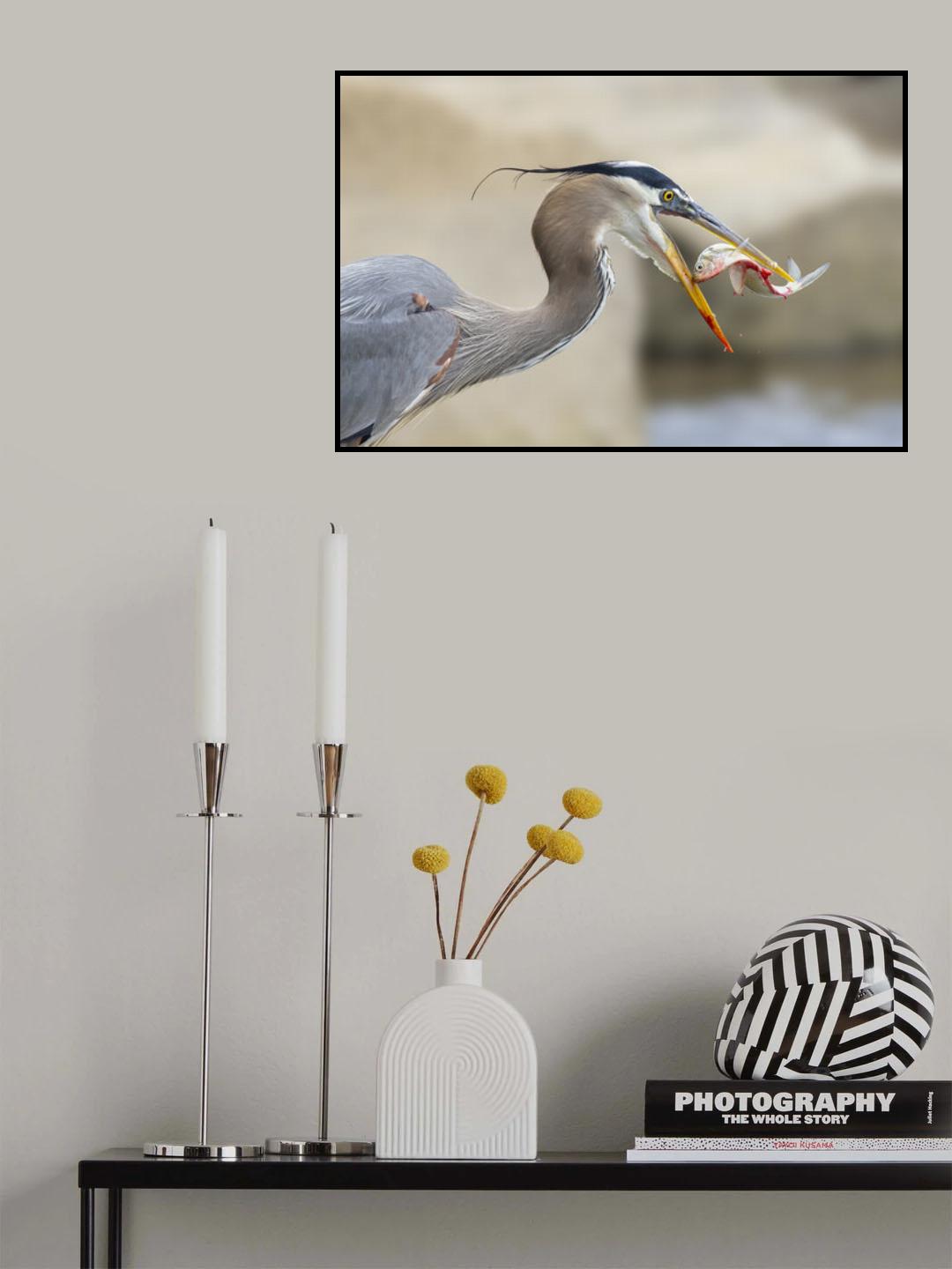 S Poster och Canvastavla