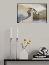 S Poster och Canvastavla