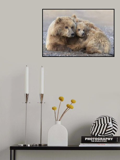 Momma Bear and Cub Aware Poster och Canvastavla