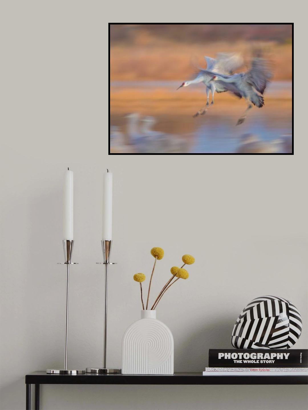 Back Home Poster och Canvastavla