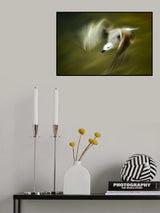 shivering wings Poster och Canvastavla
