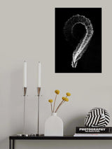 Nine Poster och Canvastavla