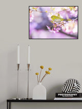 Zosterops japonicus Poster och Canvastavla