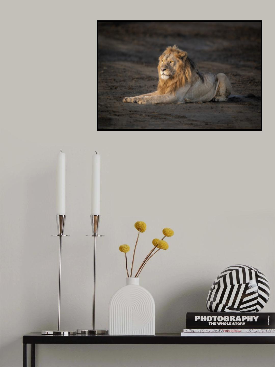 The king in departing storm light Poster och Canvastavla