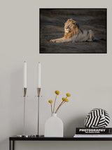 The king in departing storm light Poster och Canvastavla