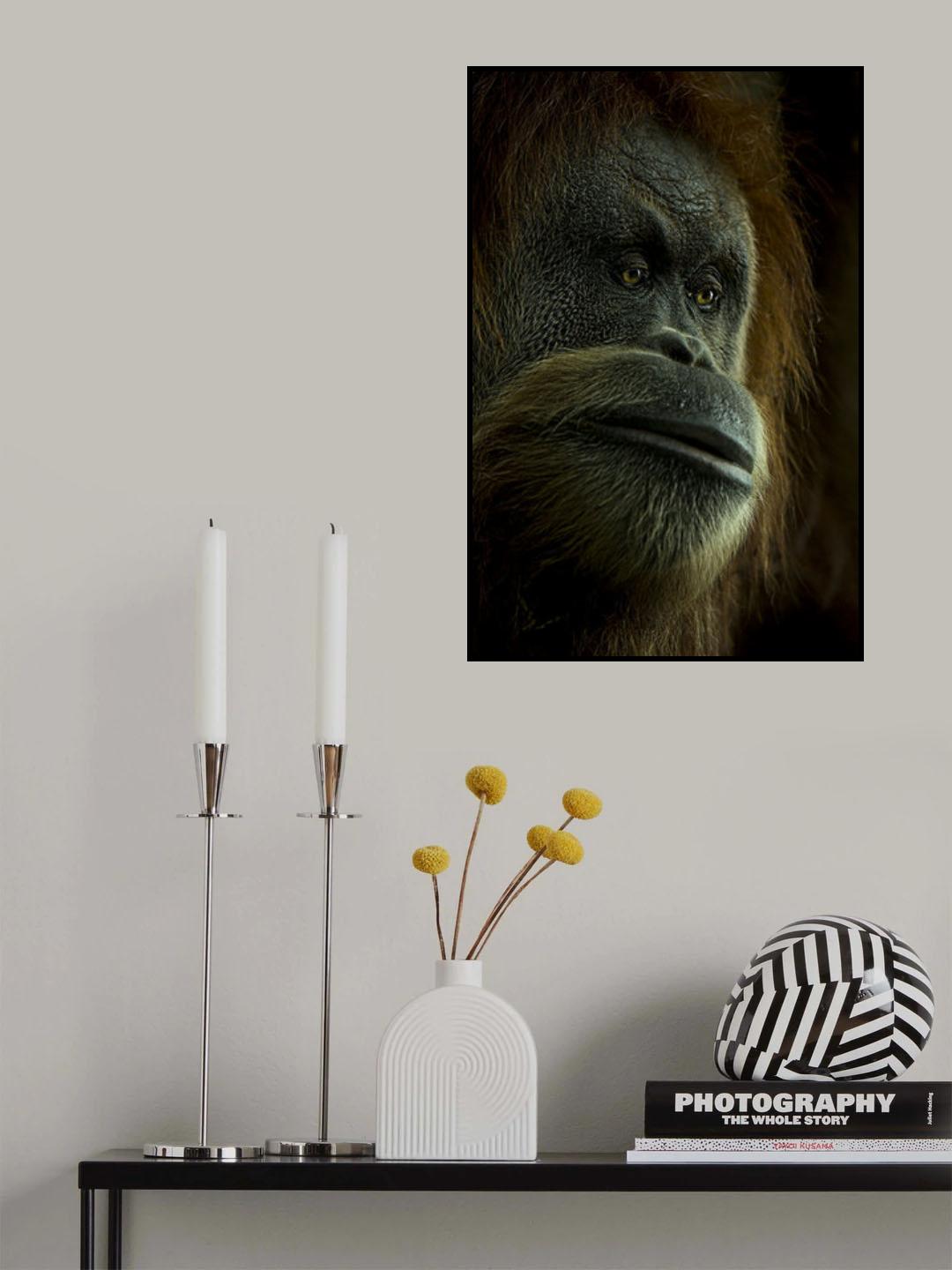 Portrait of a Person of the Forest Poster och Canvastavla