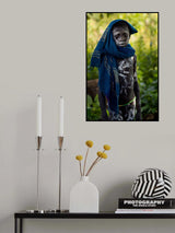 Surma II Poster och Canvastavla