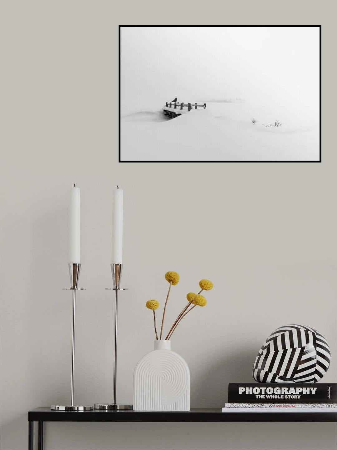 Bridge, Crow and snow Poster och Canvastavla