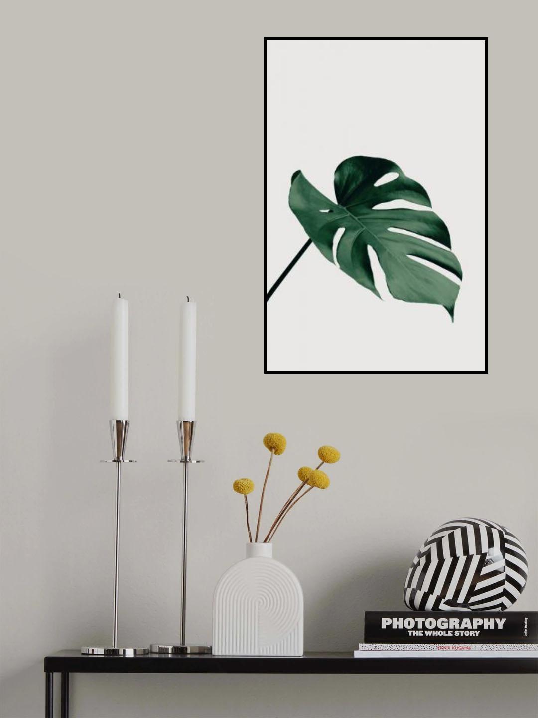 Monstera Natural 05 Poster och Canvastavla