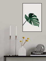 Monstera Natural 05 Poster och Canvastavla