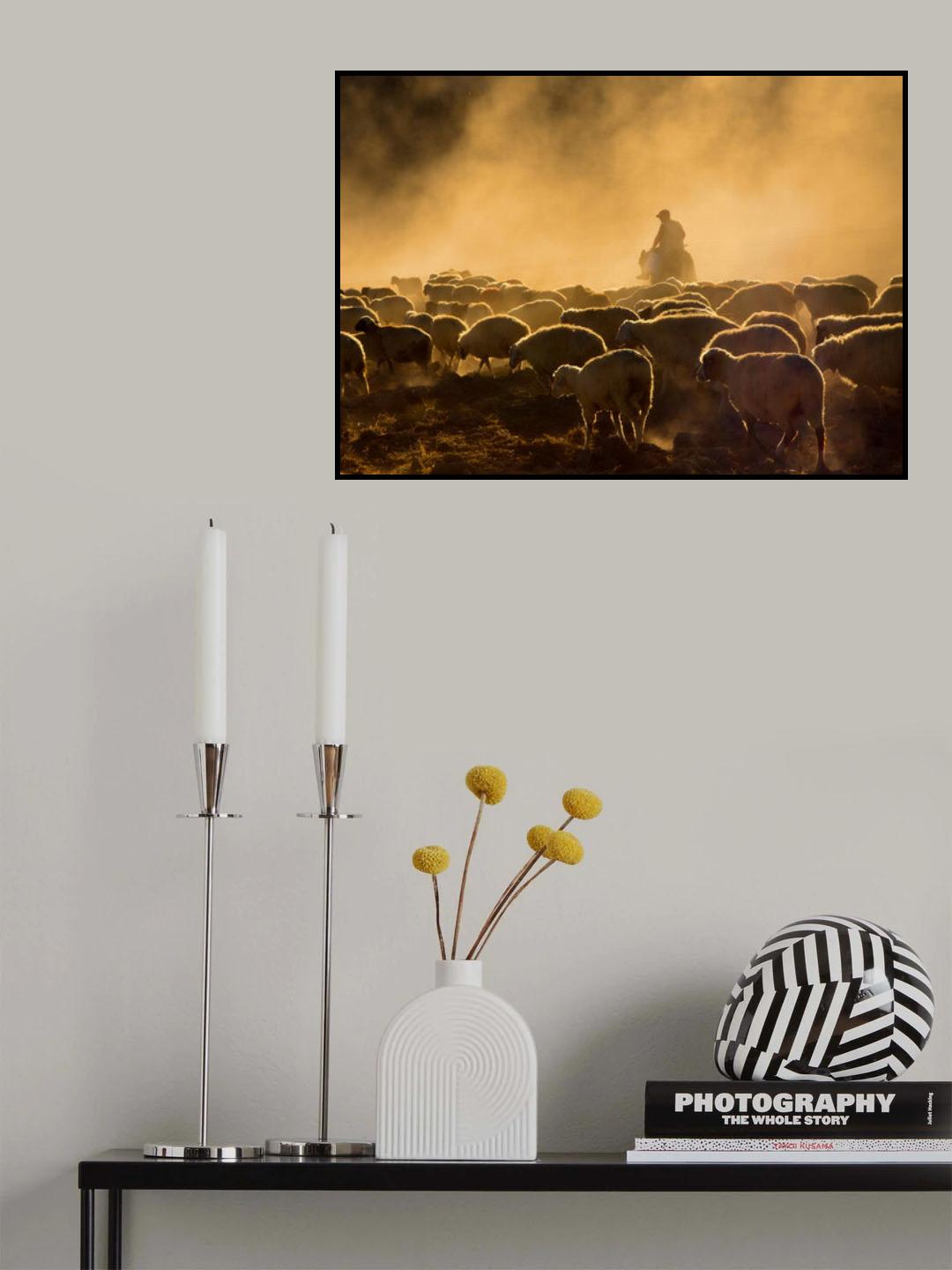 Shepherd and herd Poster och Canvastavla