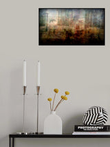 Somewhere in Asia Poster och Canvastavla
