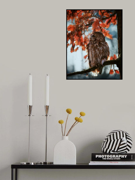 Resting owl with prey Poster och Canvastavla