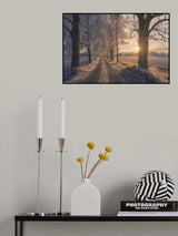 The Road not Taken Poster och Canvastavla