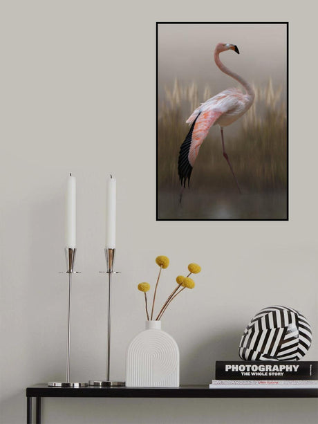 Grace Poster och Canvastavla