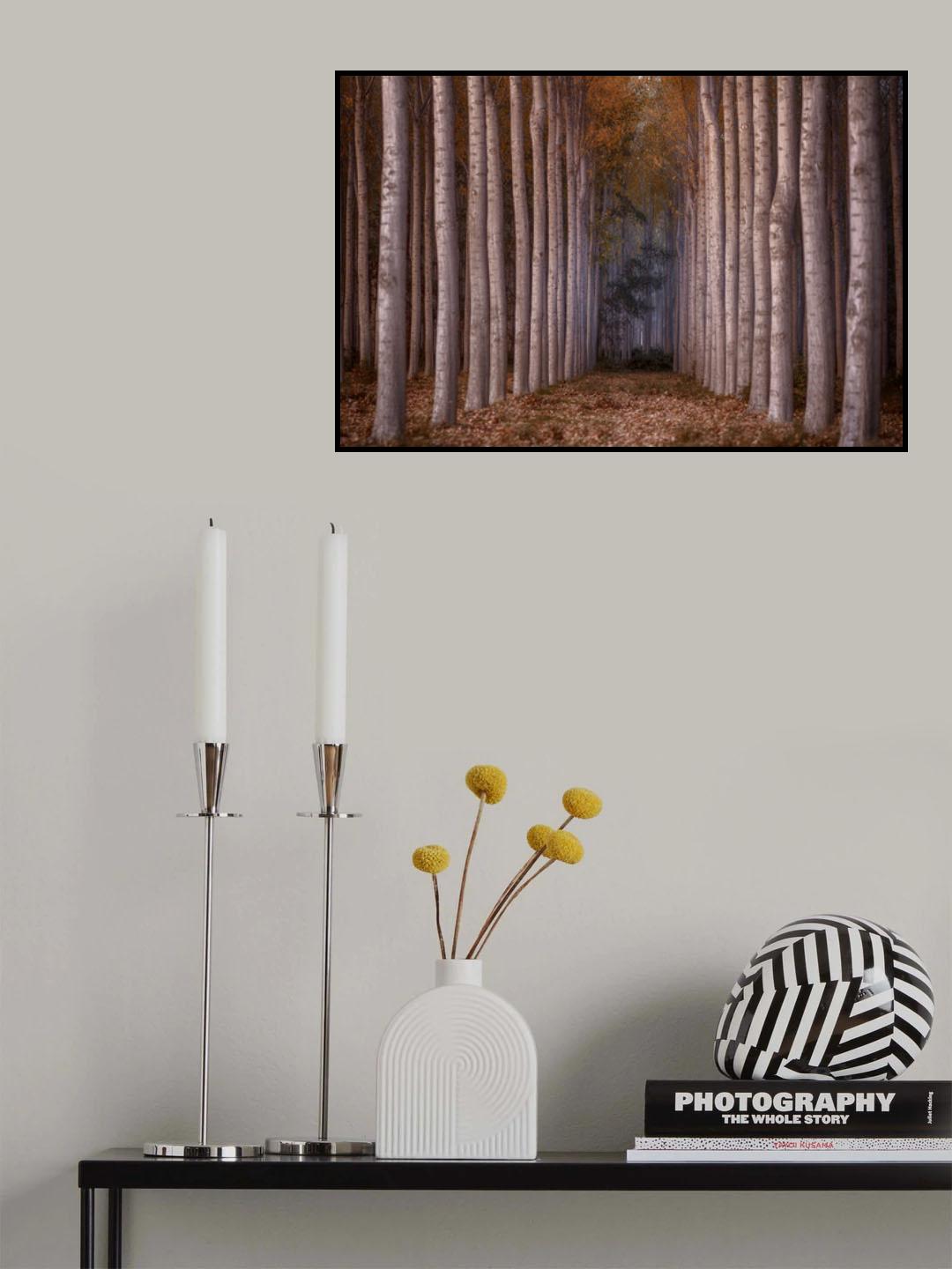 to the light Poster och Canvastavla