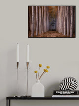 to the light Poster och Canvastavla
